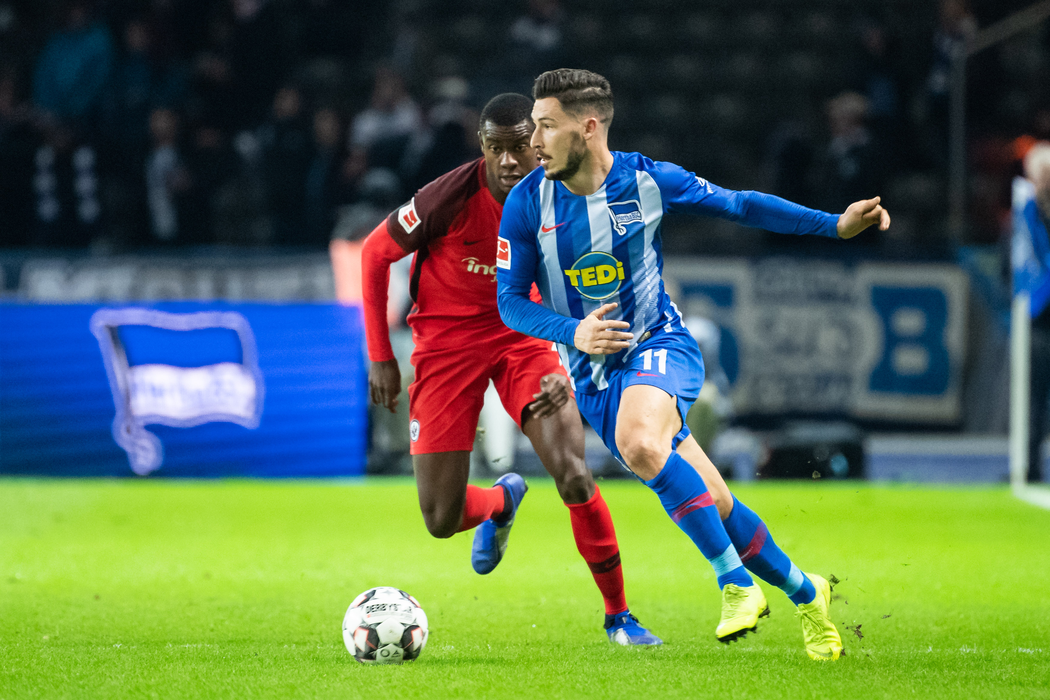 包含布兰特 包含布兰特