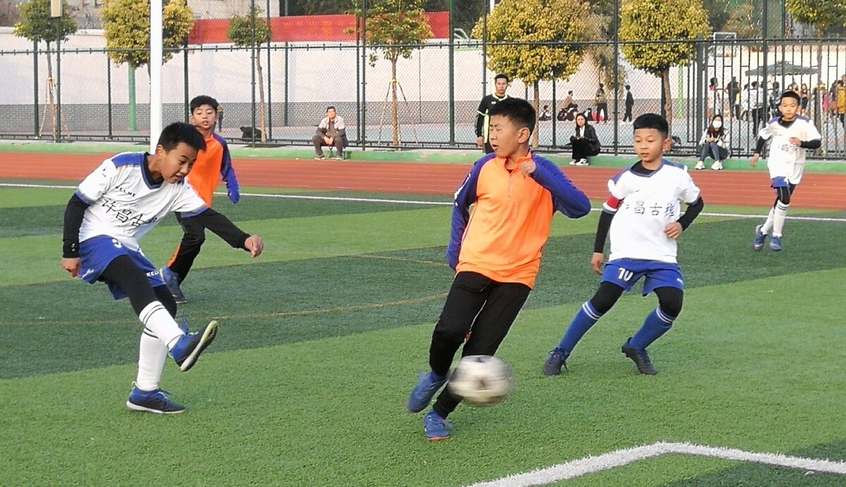 胜了厄瓜多 胜了厄瓜多