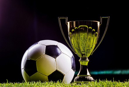 的鲜明成果 的鲜明成果