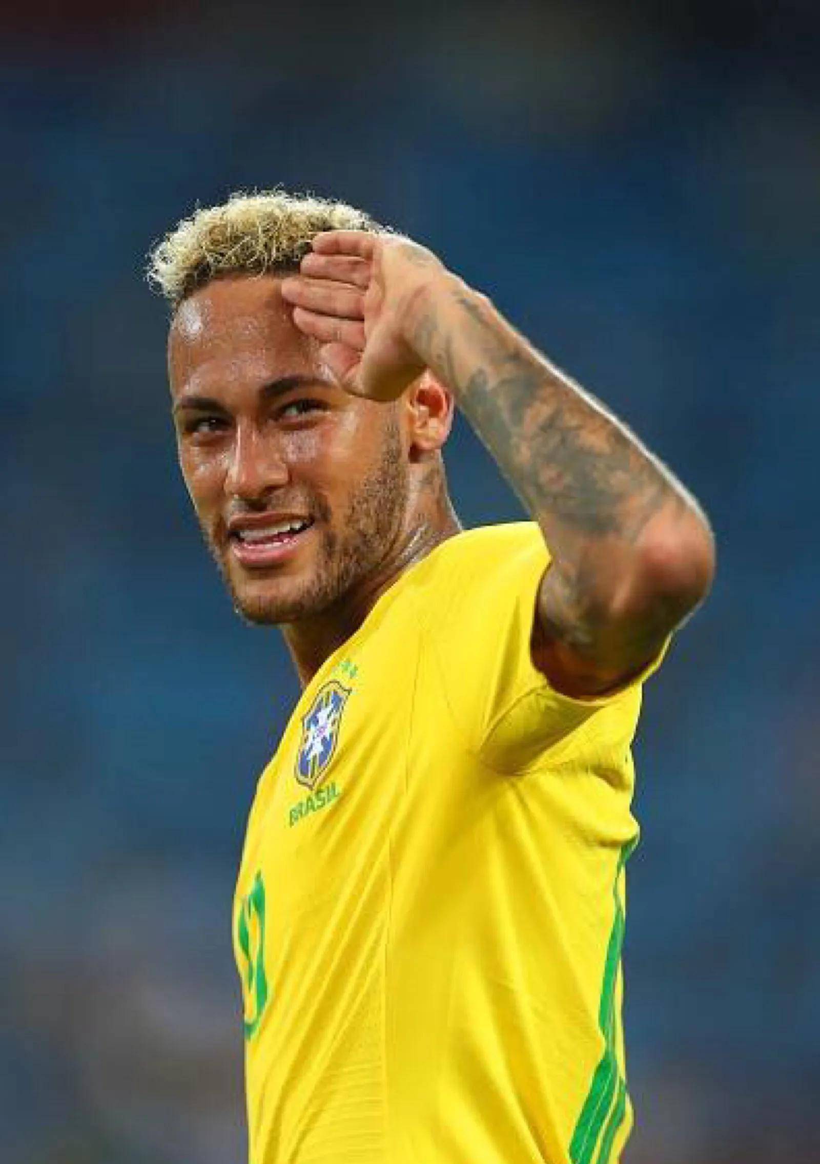 的成绩单 的成绩单