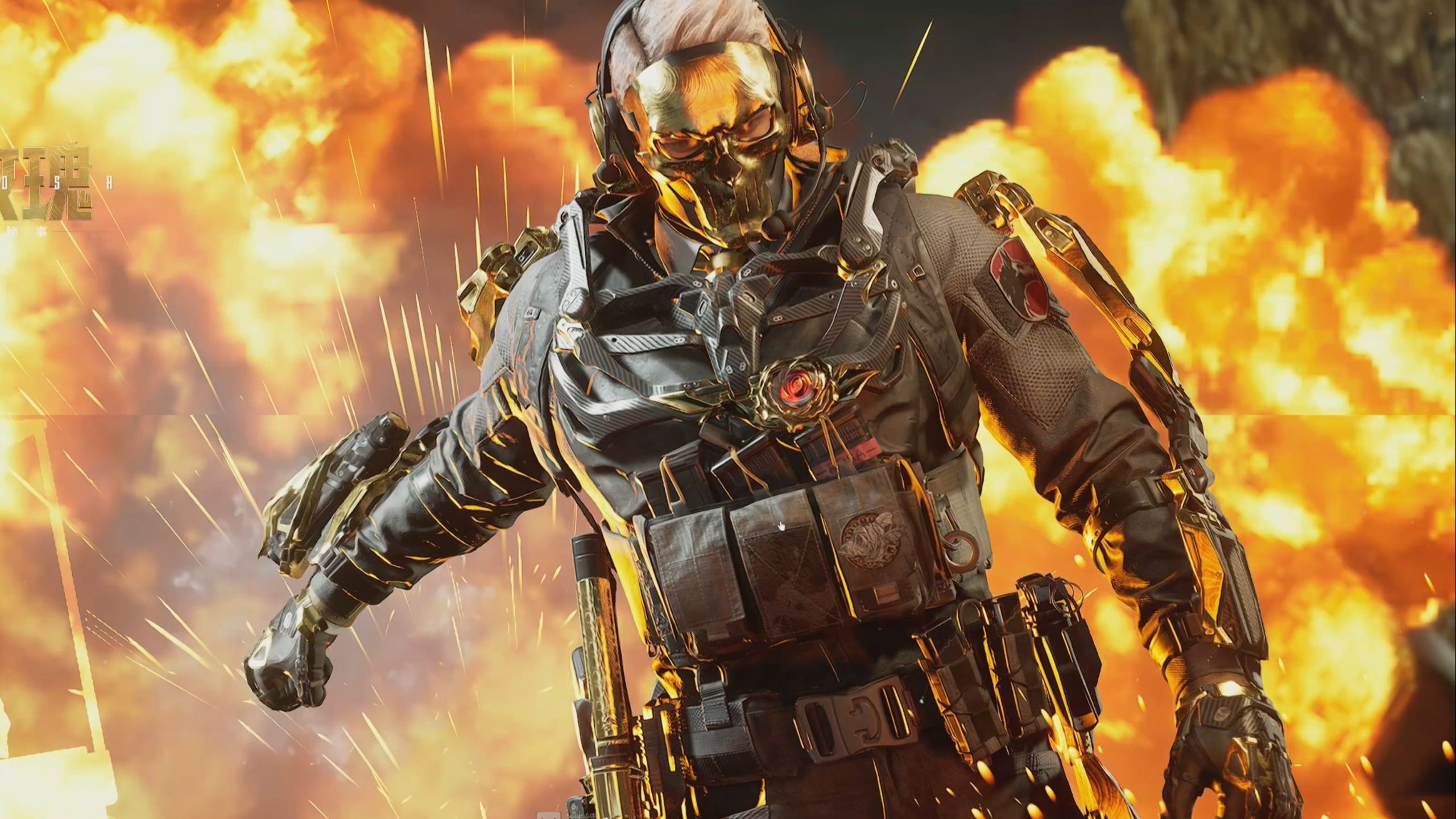 广西平果的 广西平果的